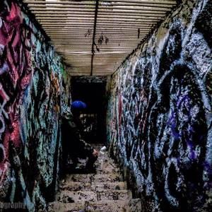 Meet your Posher, Luis